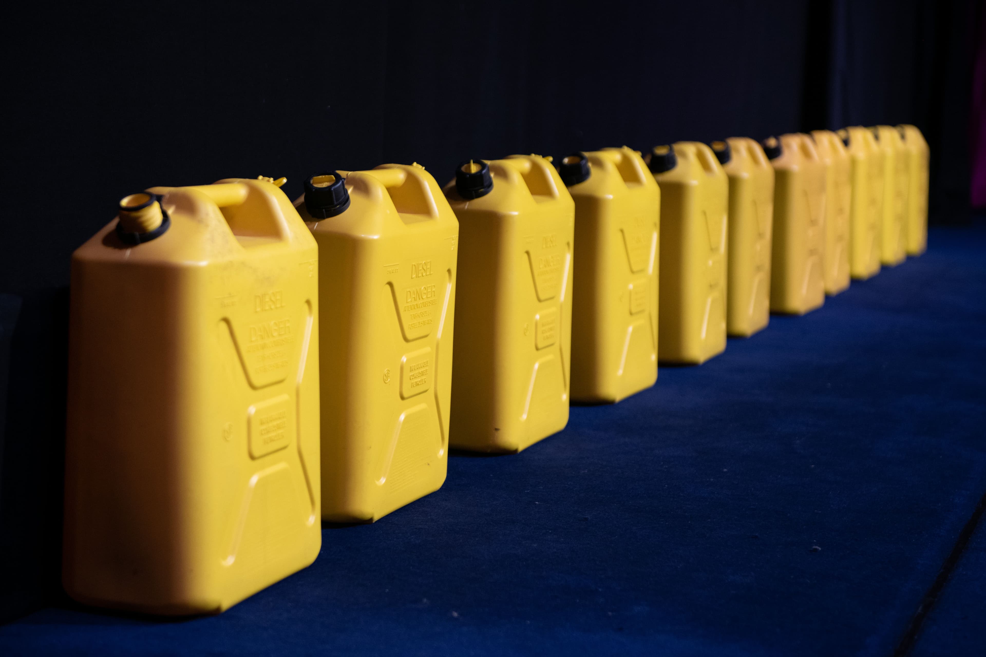 Picture of the author